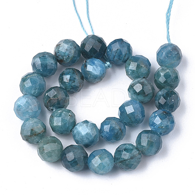 Natural Apatite Beads Strands G-S345-6mm-008-1