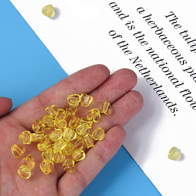Transparent Acrylic Beads MACR-S373-95-B03-1