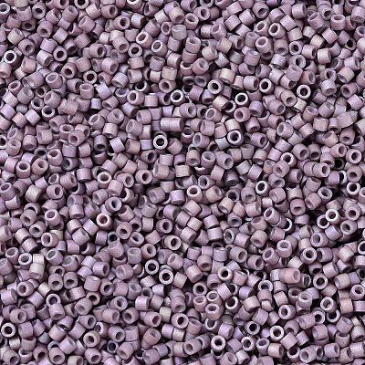 MIYUKI Delica Beads X-SEED-J020-DB1064-1