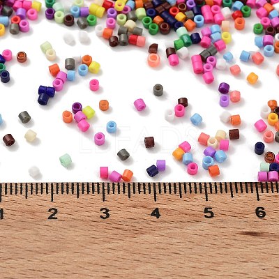 Baking Paint Glass Seed Beads SEED-S042-05B-48-1