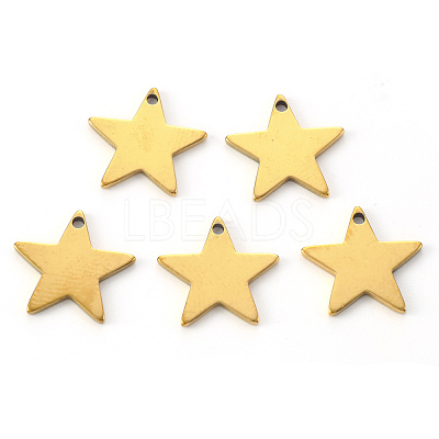 PVD Vacuum Plating 304 Stainless Steel Charms STAS-N092-67G-1