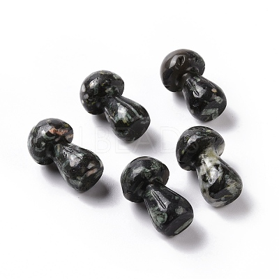 Natural Snowflake Obsidian GuaSha Stone G-A205-25M-1