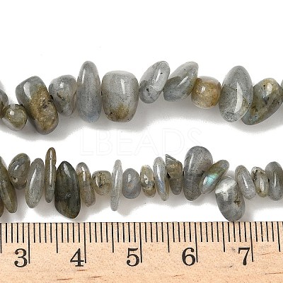 Natural Labradorite Beads Strands G-I225-15A-1