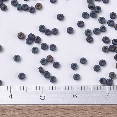 MIYUKI Round Rocailles Beads X-SEED-G007-RR0401FR-1
