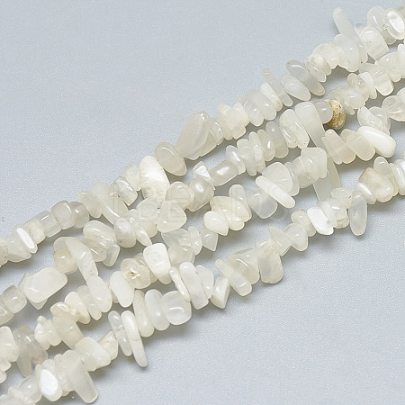 Natural White Moonstone Beads Strands G-S315-34-1