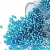 TOHO 11/0 Round Beads X-SEED-TR11-0023BF-1
