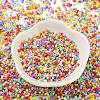 Baking Paint Glass Seed Beads SEED-S042-05B-50-2