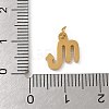 304 Stainless Steel Charms STAS-R001-04G-08-3
