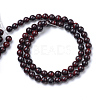 Natural Bloodstone Beads Strands G-R412-06-10MM-2