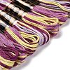 10 Skeins 6-Ply Polyester Embroidery Floss OCOR-K006-A76-2