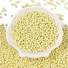 Glass Seed Beads SEED-T007-01J-1