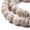 Natural Maifanite/Maifan Stone Beads Strands X-G-I187-8mm-01-6
