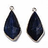 Natural Sodalite Charms G-Q998-029F-2