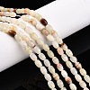 Natural Green Banded Calcite(Afghan Jade) Beads Strands G-N346-02A-12-1