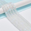 Frosted Transparent Glass Beads Strands FGLA-M002-01I-3