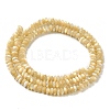 Natural Trochus Shell Beads Strands SHEL-K006-25B-2