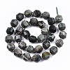 Natural Green Wood Lace Stone Beads Strands G-S362-054C-2