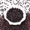 Picasso Spray Painted Glass Seed Beads SEED-T006-04-21-1