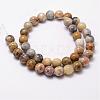 Natural Crazy Lace Agate Beads Strands G-D840-70-12mm-2