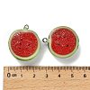 Opaque Resin Pendants RESI-Z042-01P-04-3