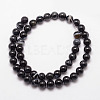 Natural Black Agate Bead Strands X-G-K166-13-8mm-05-2