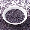 MIYUKI Round Rocailles Beads SEED-G007-RR1013-2