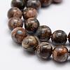 Natural Llanite Beads Strands G-K209-04A-10mm-3