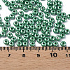 6/0 Czech Opaque Glass Seed Beads SEED-N004-003D-13-6