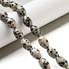 Natural Dalmatian Jasper Beads Strands G-B106-B20-01-2