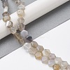 Natural Grey Agate Beads Strands G-K359-C11-01-2