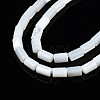 Natural Freshwater Shell Beads Strands SHEL-N003-26-A01-3