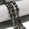 Natural Labradorite Beads Strands G-P544-D06-01-2