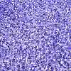 6/0 Baking Paint Transparent Fringe Glass Seed Beads X1-SEED-N006-06I-3