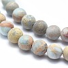 Natural Aqua Terra Jasper Beads Strands G-N0128-48F-6mm-3