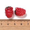 Handmade Lampwork Beads Strands LAMP-G162-05E-4