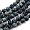 Frosted Natural Kambaba Jasper Beads Strands G-M272-14-6mm-3
