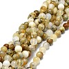 Natural Opal Beads Strands G-E576-12C-1
