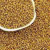 12/0 Glass Seed Beads X-E06900A2-2