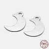 925 Sterling Silver Charms STER-I014-19S-4