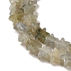 Natural Labradorite Beads Strands G-G085-B25-02-3