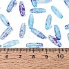 Picasso Transparent Glass Seed Beads SEED-N012-11K-4