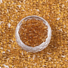 Transparent Glass Beads SEED-S040-09A-09-2
