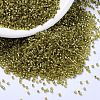 MIYUKI Delica Beads SEED-X0054-DB2164-1