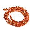 Dyed Natural Fire Crackle Agate Beads Strands G-G007-01E-3