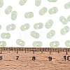 FGB Frosted Transparent Glass Seed Beads SEED-N013-06A-08-4
