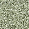 MIYUKI Delica Beads SEED-X0054-DB1765-3