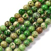 Dyed Natural Regalite/Imperial Jasper/Sea Sediment Jasper Beads Strands G-B124-C02-02-1
