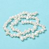 Natural Keshi Pearl Beads Strands PEAR-J007-48-3