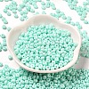 Baking Paint Glass Seed Beads X1-SEED-B001-02A-14-2