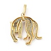 Rack Plating Brass Micro Pave Cubic Zirconia Pendants ZIRC-F129-35A-G-2